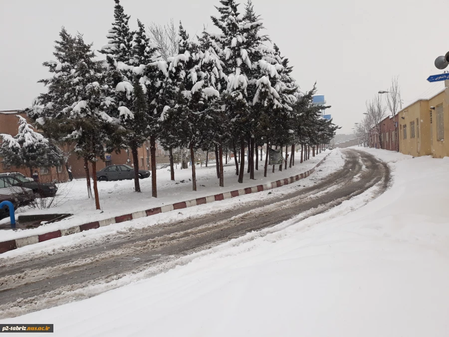 طبیعت زمستانی آموزشکده  98/10/29